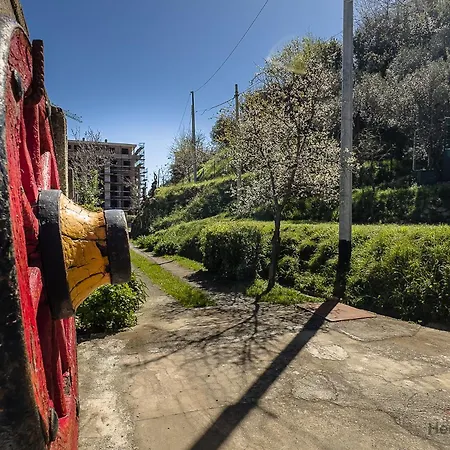 Private Garden Retreat - Free Park - 900m Apartment